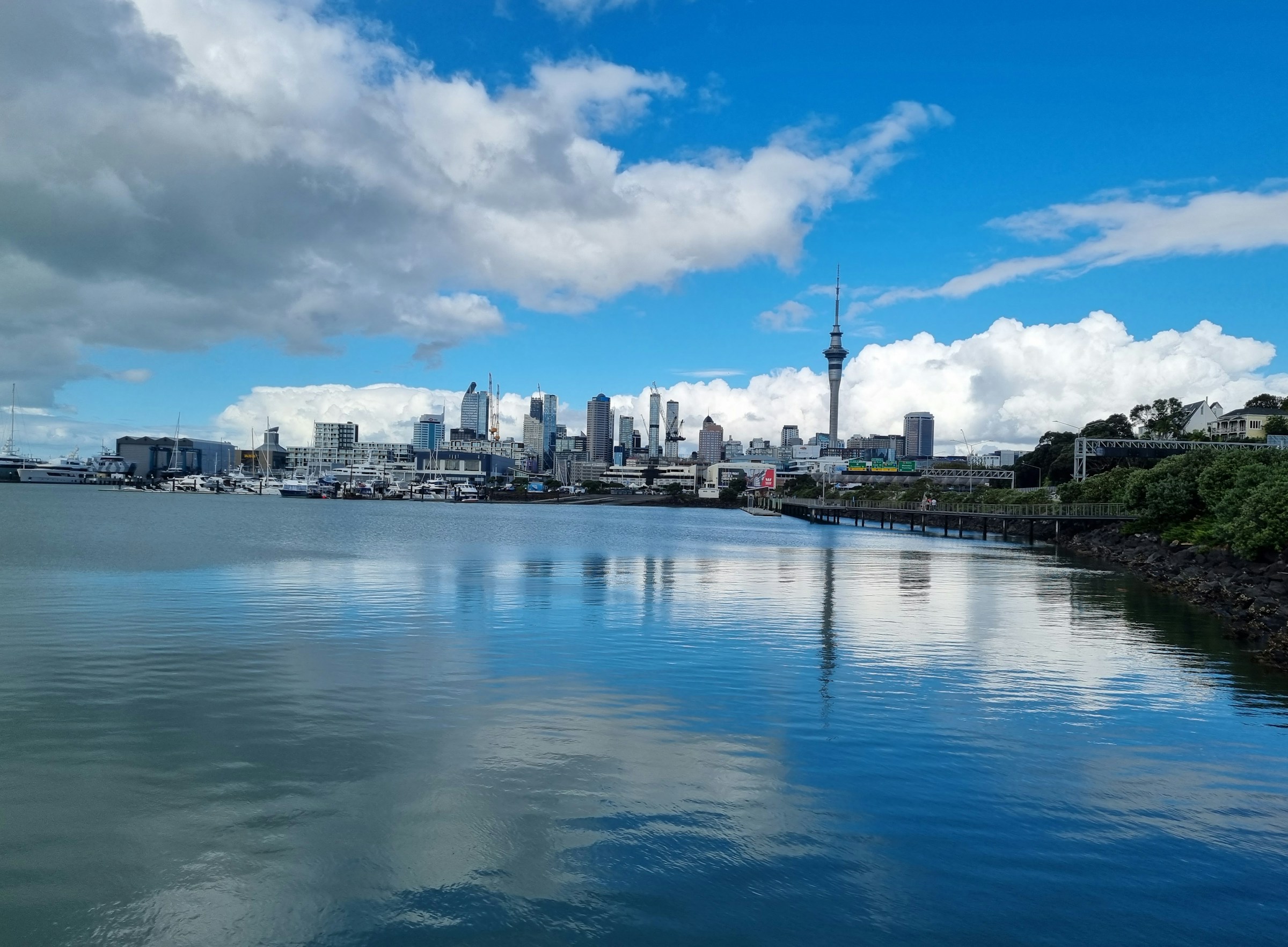 Auckland waterfront